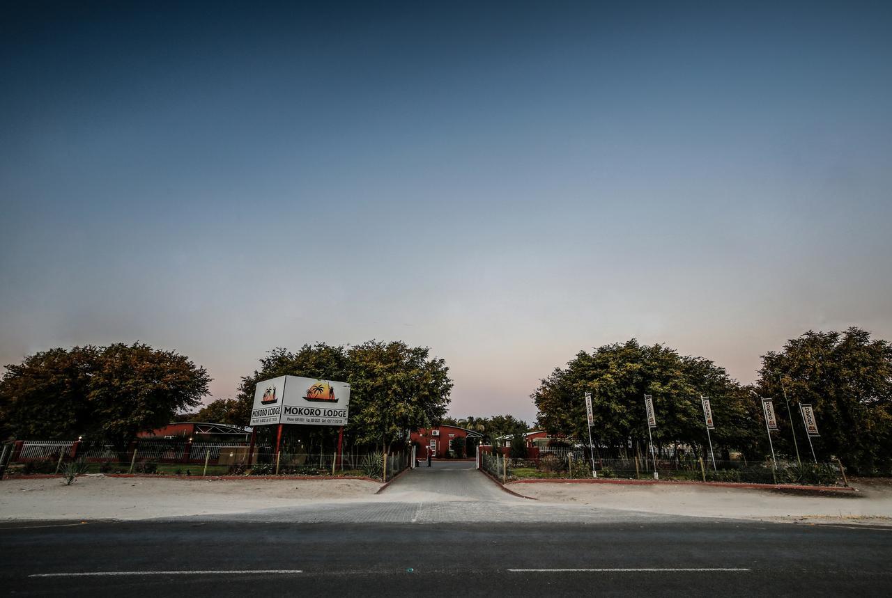 Mokoro Lodge Maun Buitenkant foto